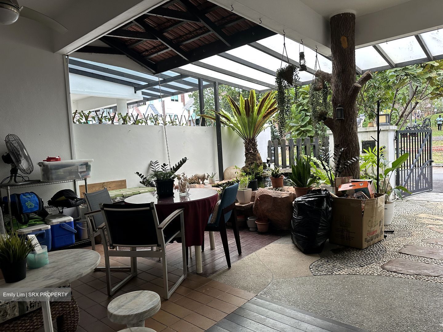 Parry Avenue (D19), Terrace #547006921